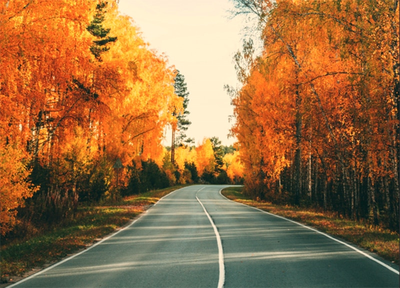 © Vladimir Uporov, Pexels