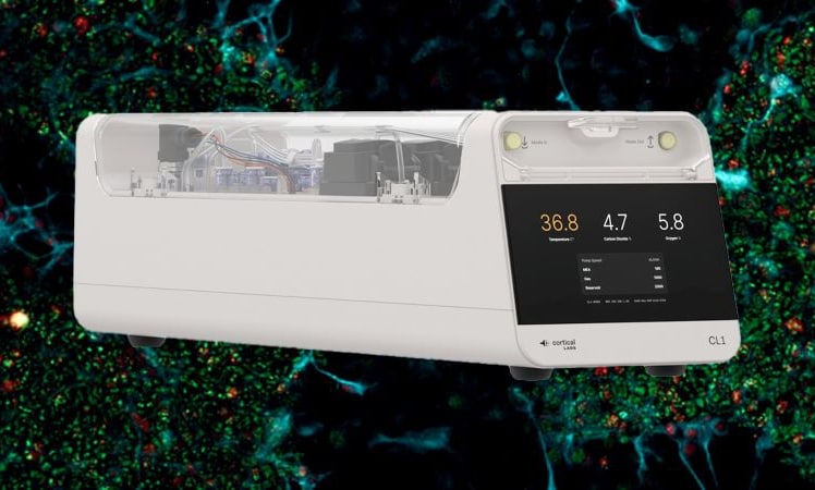 Der weltweit erste Biocomputer CL1 von Cortical Labs kombiniert lebende Neuronen mit KI und könnte die Art, wie Maschinen denken und lernen, revolutionieren. Amy Webb stellte ihn im "Tech Trends Report“ auf der SXSW 2025 als bahnbrechende Innovation vor.